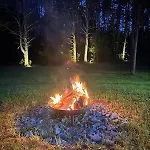 Local Forest *