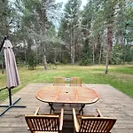 Local Forest Vilnius