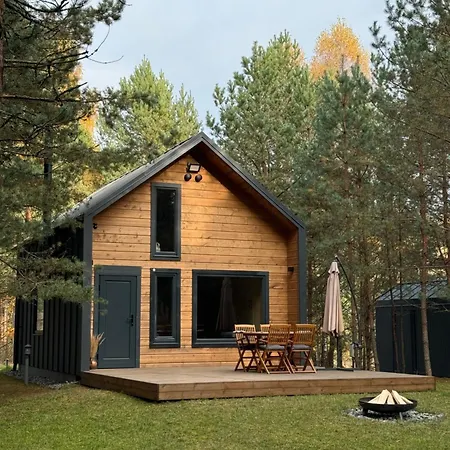 Local Forest * Вильнюс