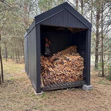 Local Forest * Vilnius