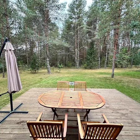 Local Forest Vilnius