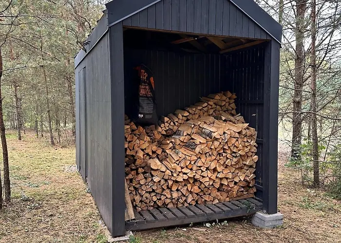 Local Forest * Вильнюс