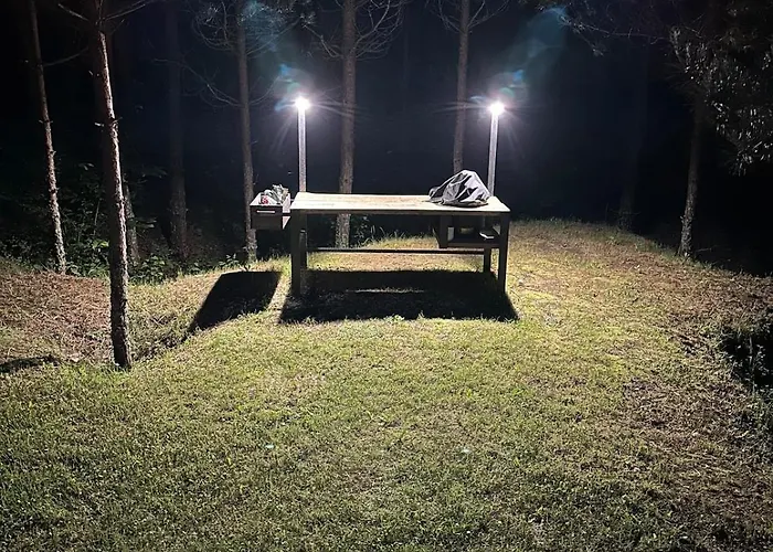 Σπίτι διακοπών Local Forest Βίλνιους