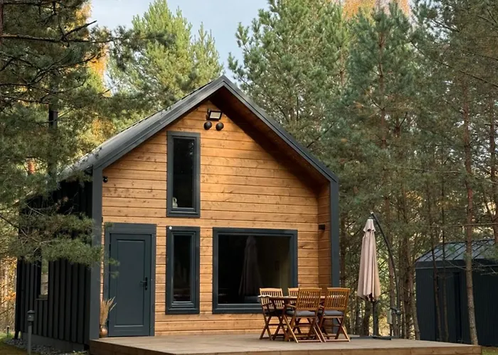 Local Forest * Vilnius