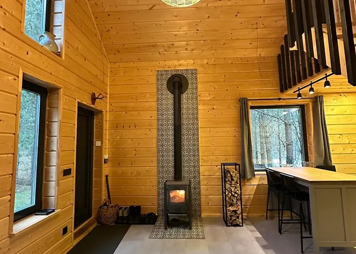 Local Forest * Vilnius