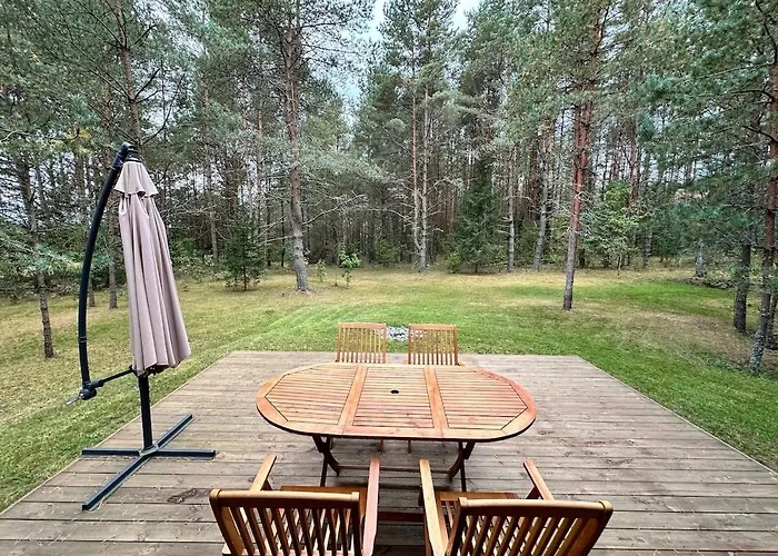 Local Forest Vilnius